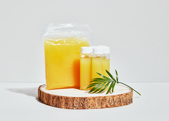 Dongsung Chemical and Cosmax Launch Korea’s First PHA-Based Bio Hot Melt Adhesive